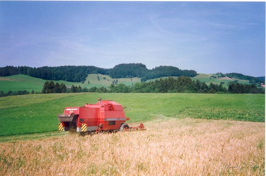 MF Drescher 25